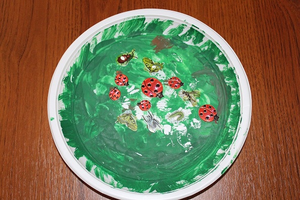 Наши летние творилки !