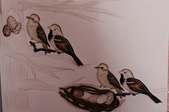 Наши летние творилки !