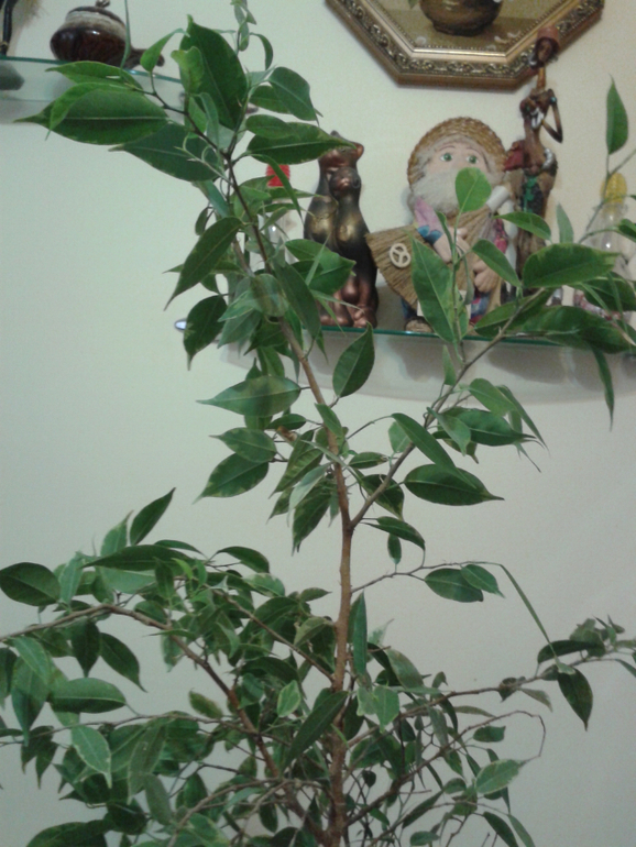 Девочки, помогите с прической цветику)))