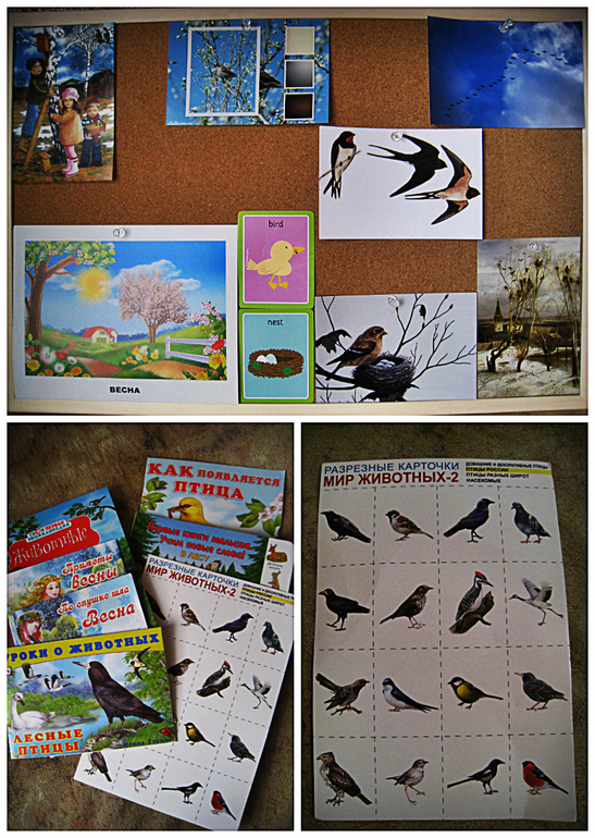 ТН Весна. Здравствуйте, птицы!