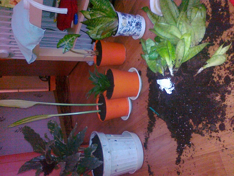 Встречаем весну