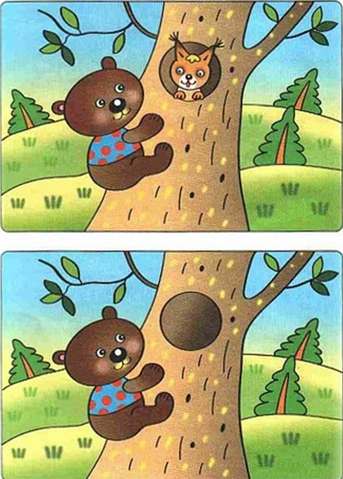 НАЙДИ ОТЛИЧИЯ