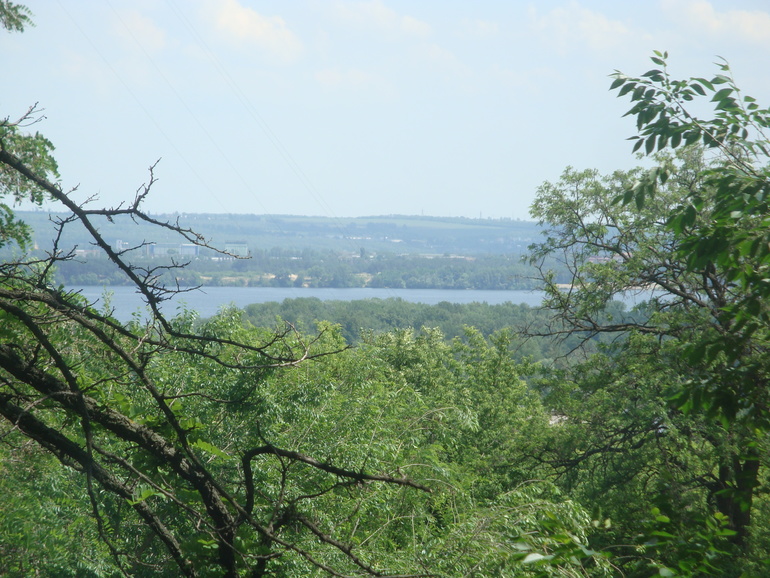 Моя растительность (хвастики)