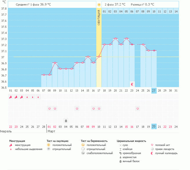 Девочки, что думаете?