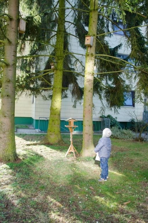 Весеннее настроение