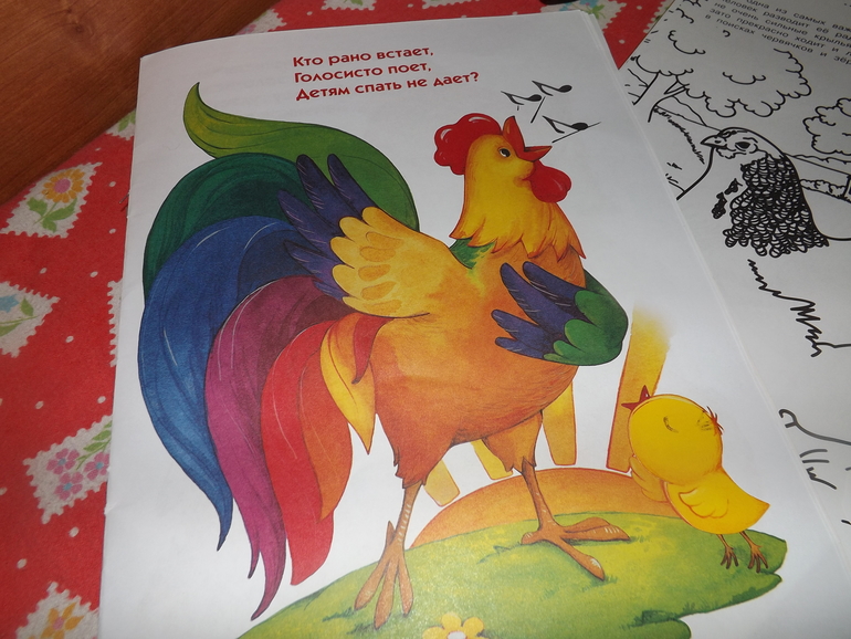 ТН "Лукошко сказок" 1 день