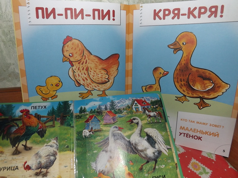 ТН "Лукошко сказок" 1 день