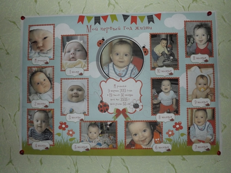 ГодоВасие на васильковой полянке в компании с божьими коровками