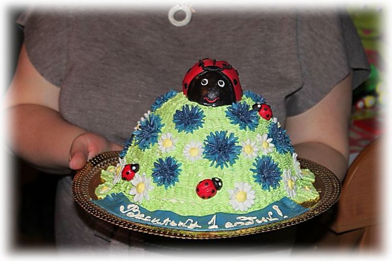 ГодоВасие на васильковой полянке в компании с божьими коровками