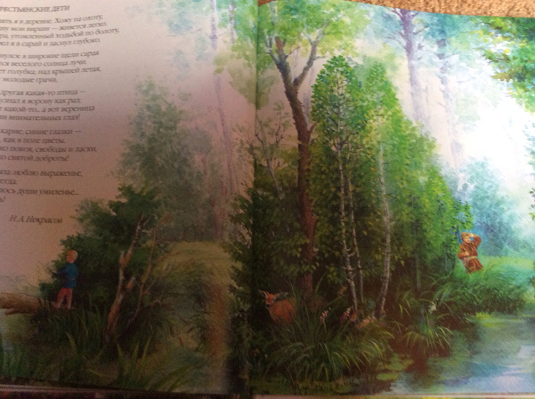 Времена года