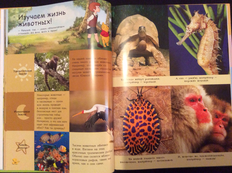 Первые энциклопедии