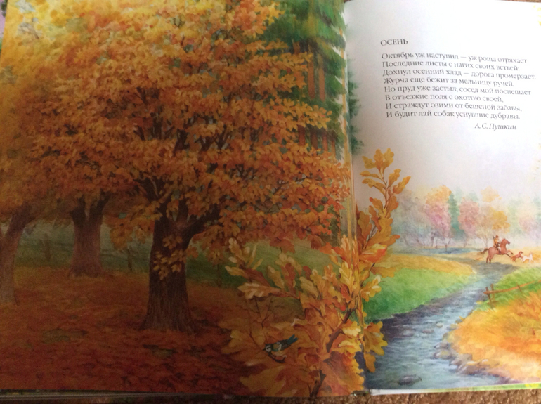 Времена года