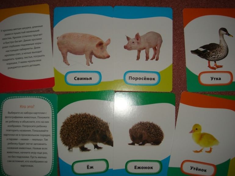 Умные карточки.