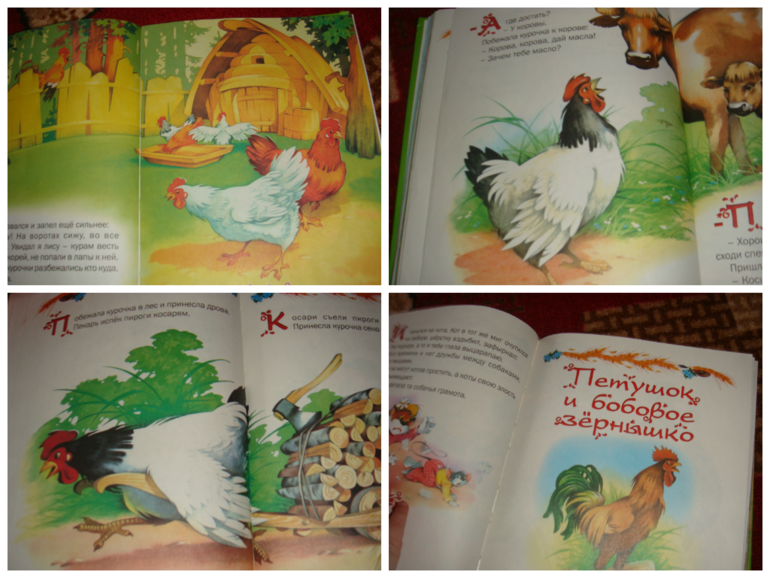 ТЗ. Курица, петух, цыпленок.