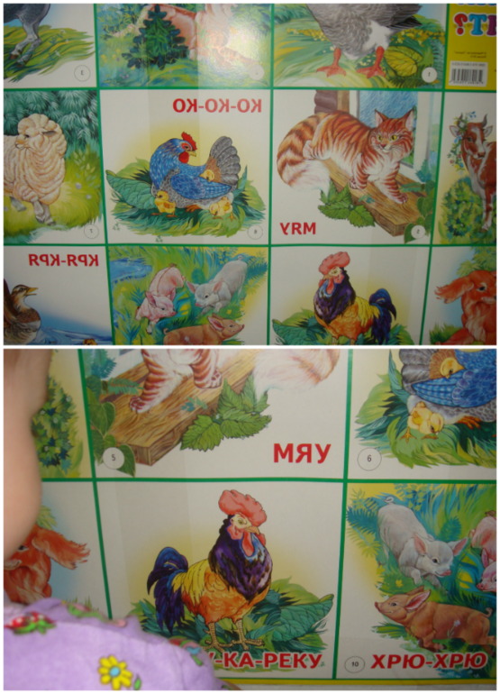 ТЗ. Курица, петух, цыпленок.