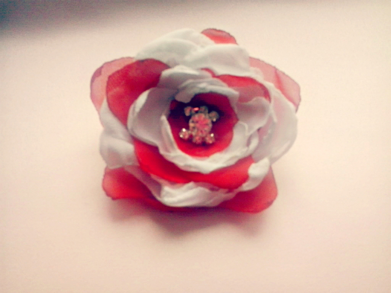 не совсем  цветочек ...