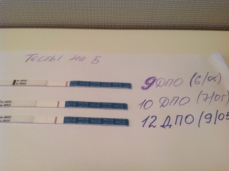 Ну вот такое у меня 9 МАЯ!!! 12дпо)