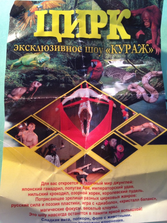 Как думаете идти на этот ЦИРК?