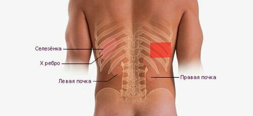 Боль под ребрами: симптомы и методы лечения в «СМ-Клиника»