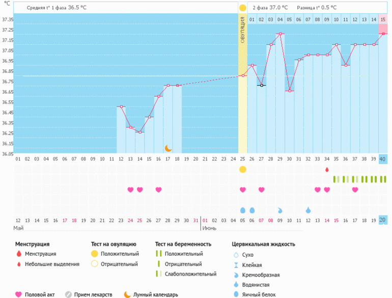 Наконец моё сокровище со мной!