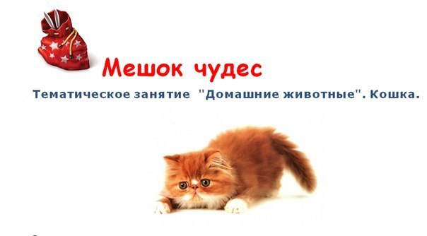Пазл-гигант МИСТИГРИ от Djeco+занятие Кошка В ПОДАРОК!!!