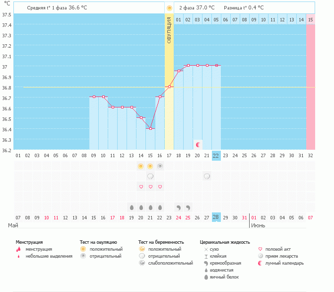 Хочушечки помогите разобраться, с какого дня начилась вторая фаза...