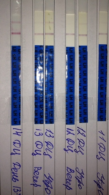 Тест на Овуляцию, первый раз!