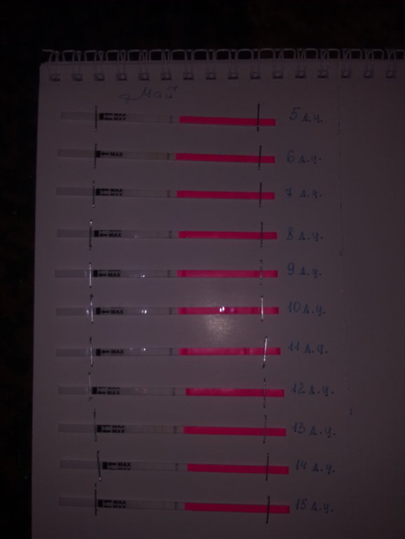 в поисках долгожданной О!