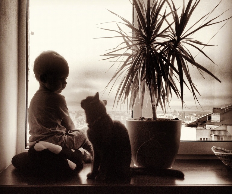 Пост о дружбе одного маленького мальчика и его кошечки))