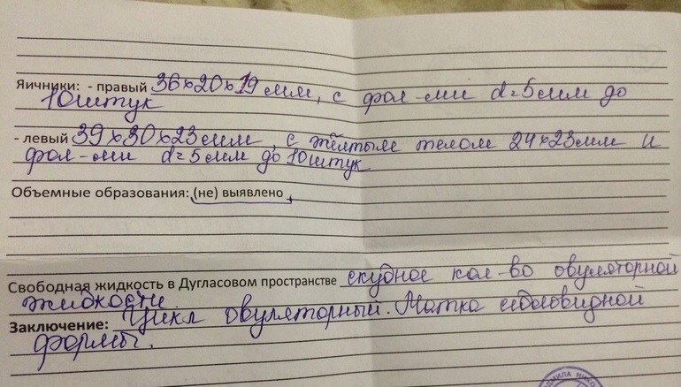 Желтое тело и свободная жидкость!!! — 8 ответов на Babyblog