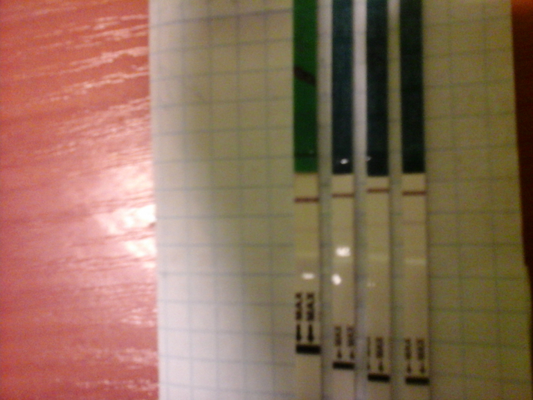 Будут ли ярчать тесты при бхб?