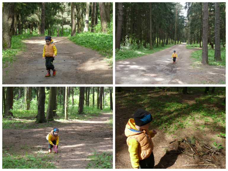 Подготовка к ТН В лесу