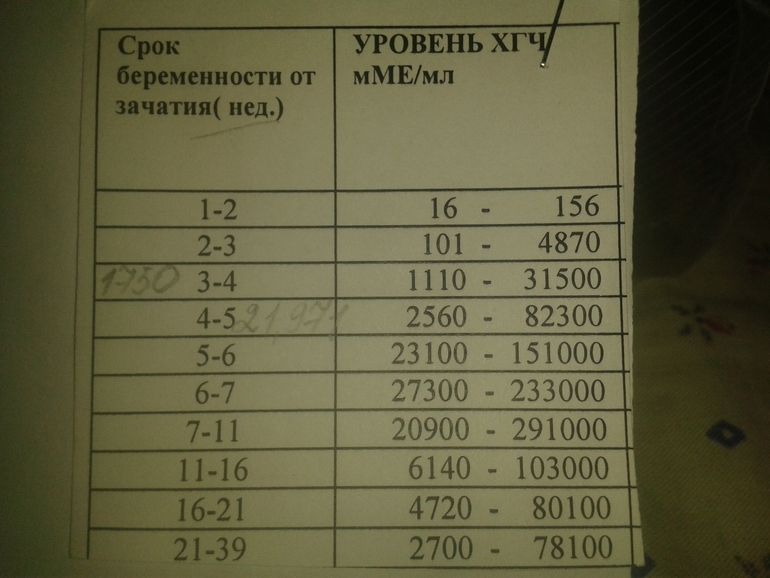 чешутся у меня руки...