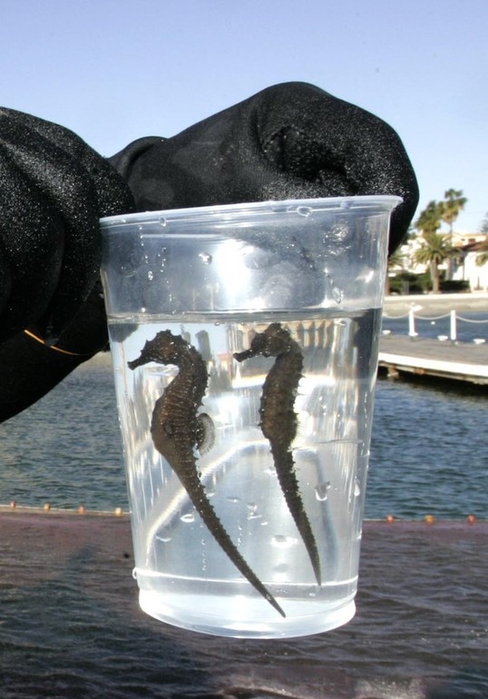 Лушее место для отдыха с малышами - Испания, маленькое море.