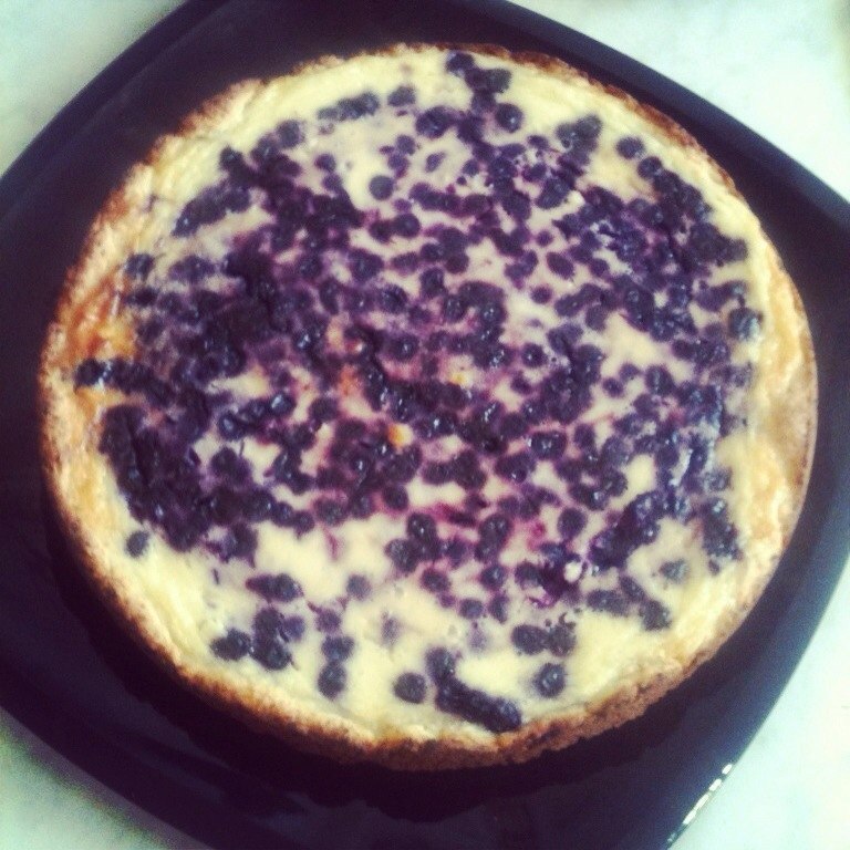 Сметанник черничный