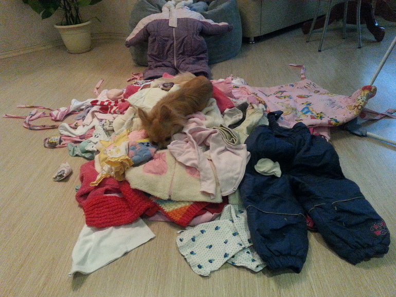 Подгон от подружки.