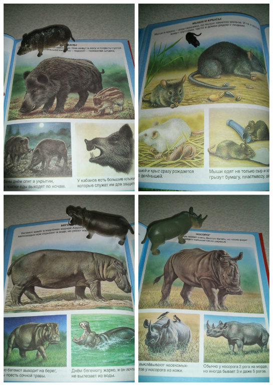 Наши игры с животными)