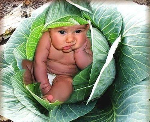 Что может сравниться с рожденьем ребенка?