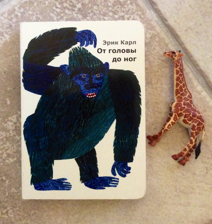 Книжные предпочтения в 1-1,2