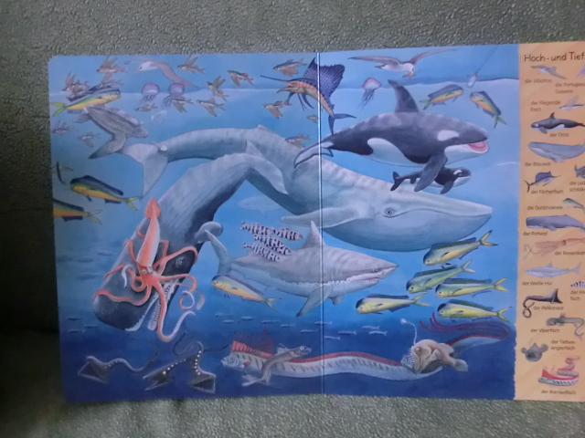 Виммельбух про морских обитателей или Mein erstes Wimmelbuch - Am Meer