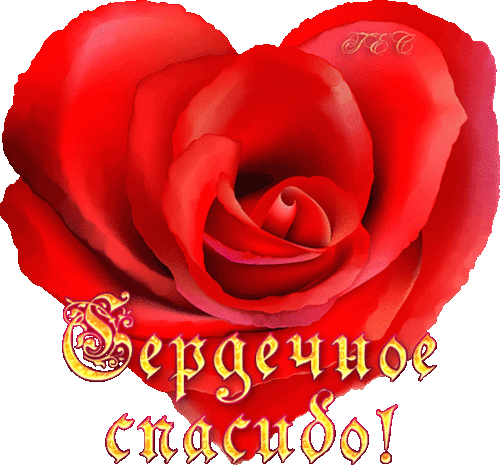 77ca2ca2ed2ab128a13734d6140d2bd5.gif