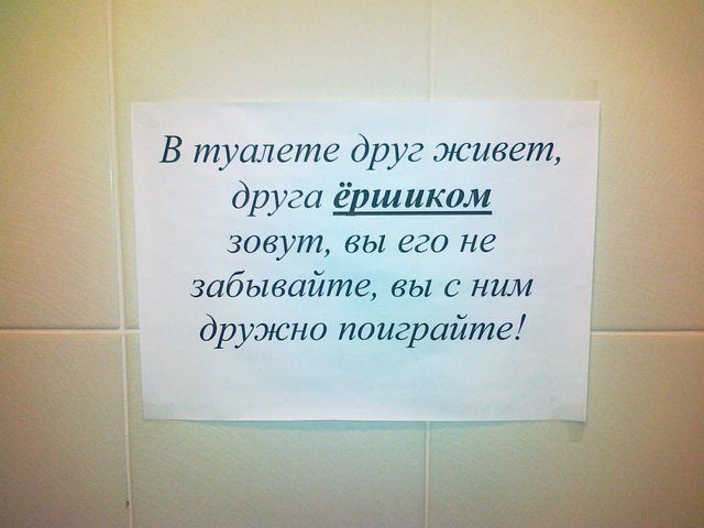 Картинки про ершик