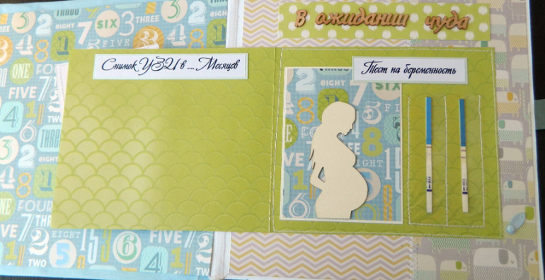 Альбом " Первый год жизни нашего сокровища - Максимки"