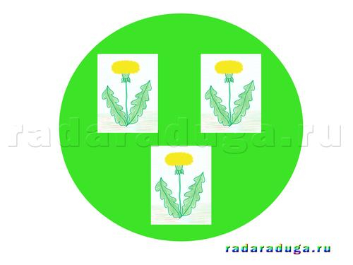 Тематическое занятие Одуванчик