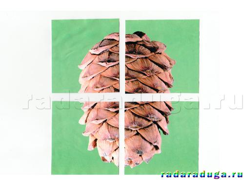 Тематическое занятие Шишки