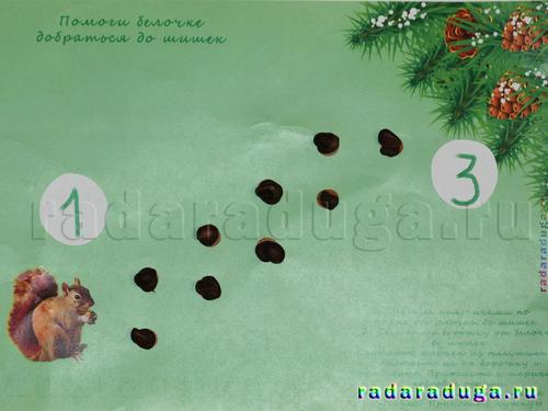 Тематическое занятие Шишки