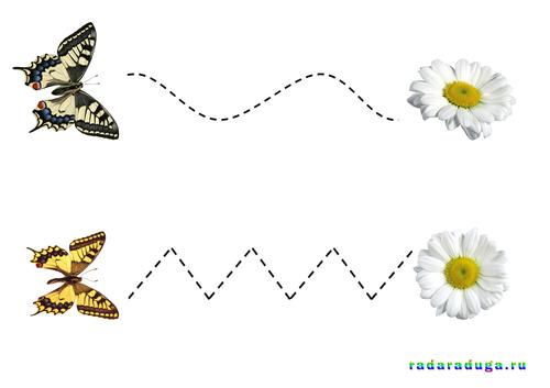 Тематическое занятие Ромашка