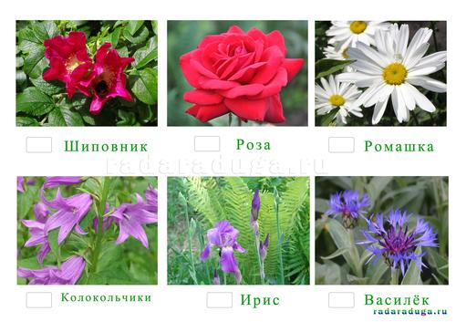 Цветочное творчество