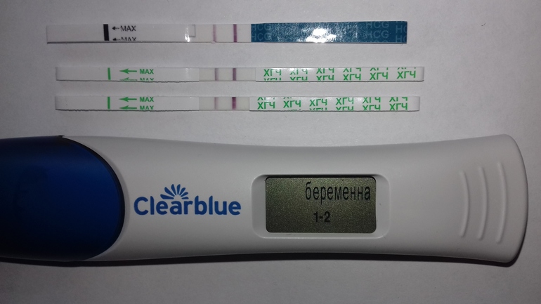 Дпо цифровая. Тест Clearblue 13 ДПО. 13 ДПО тест электронный. ХГЧ на 8 ДПО клеар Блю. 11 ДПО электронный тест клеар Блю.