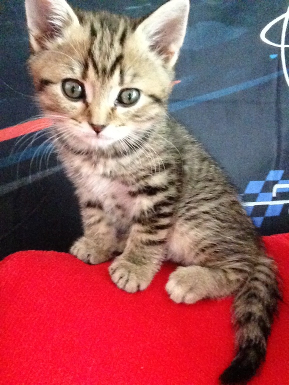 Мой красавчик любимый!!!